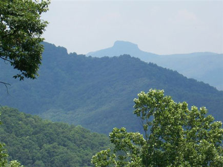 blue ridge by diane